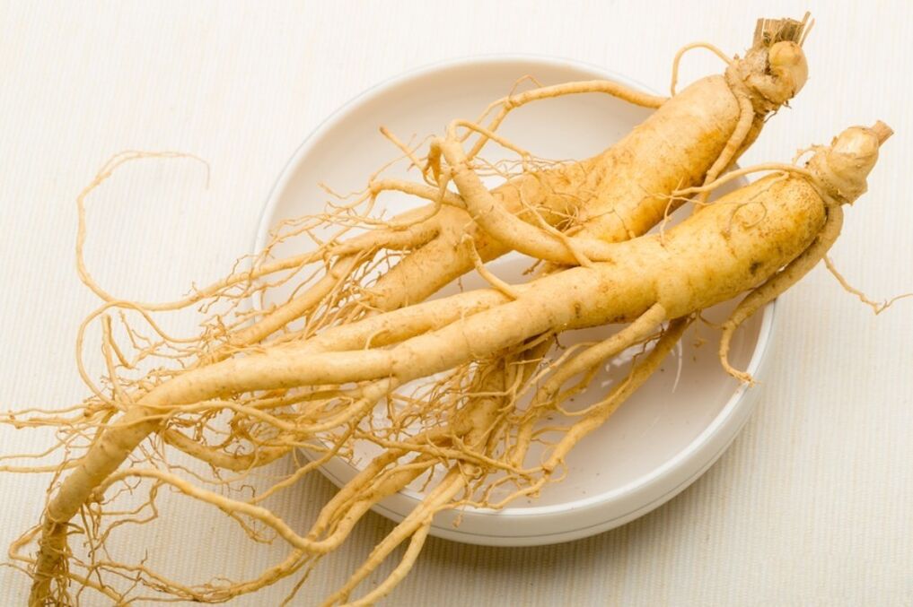 Ginseng Root Is the Base of Penis Enlargement Tincture